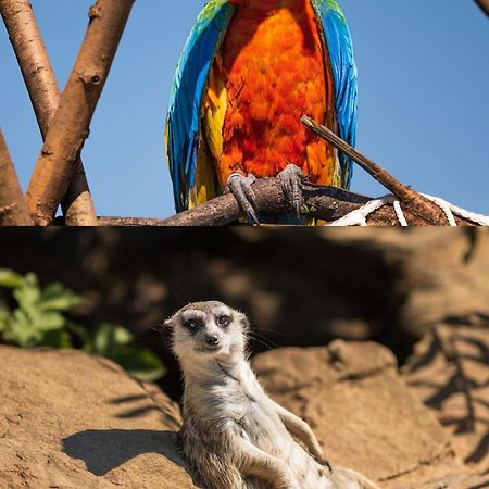 Faunapark Lipova-Lazne Buitenkant foto